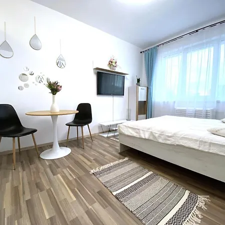 Casa Tudor Apartment Brasov