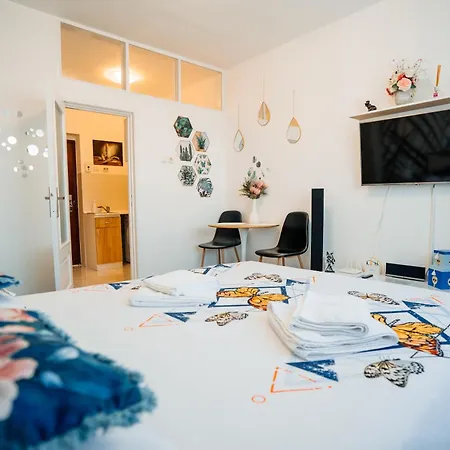 Apartment Casa Tudor
